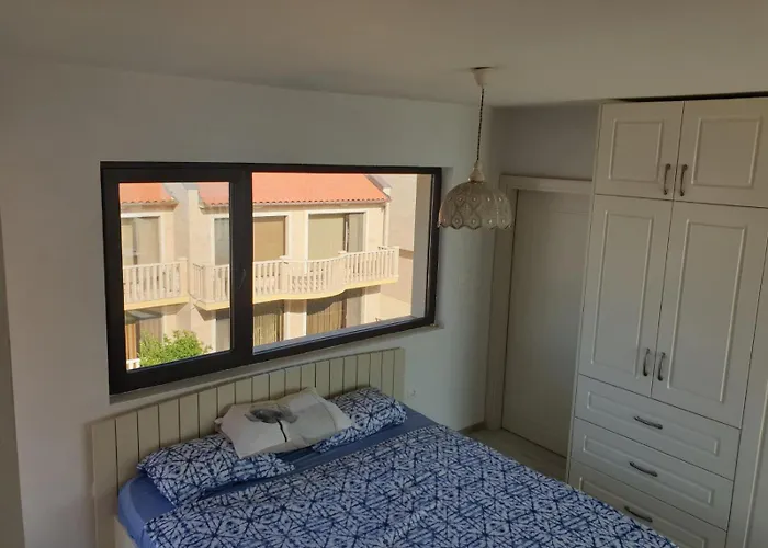 Solar Rise ポモリエ